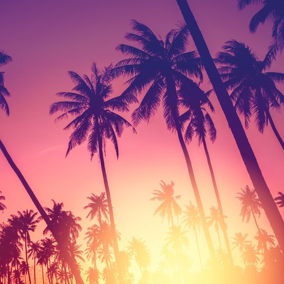 azmiami